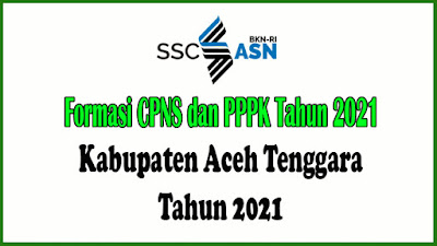 RINCIAN PENETAPAN KEBUTUHAN APARATUR SIPIL NEGERA DI LINGKUNGAN PEMERINTAH KABUPATEN ACEH TENGGARA TAHUN ANGGARAN 2021