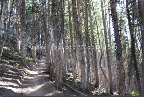 IMG_4570 IMG_4570