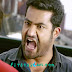 Jr Ntr Temper Official Teaser