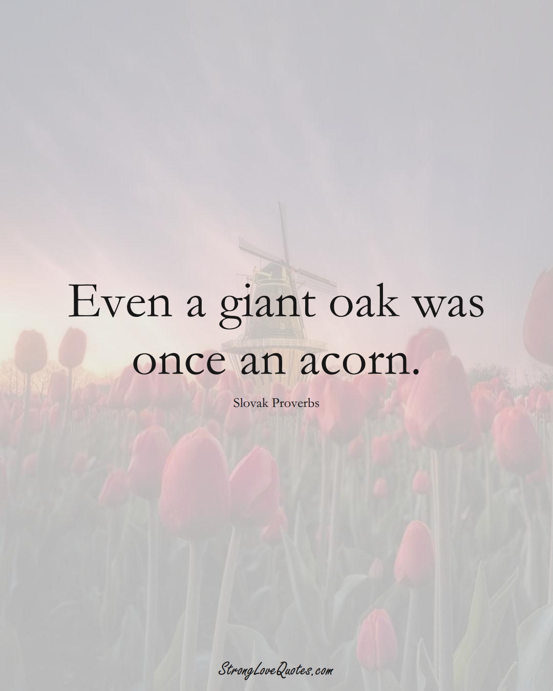 Even a giant oak was once an acorn. (Slovak Sayings);  #EuropeanSayings