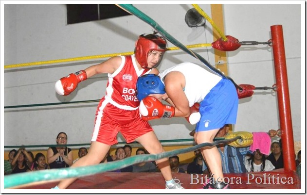 COMUDE BOX CASTA DE CAMPEONES