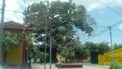 La plaza de los hèroes de guerra en el barrio Martha Quezada. Foto: Wendy Quintero