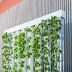  Vertical Farming in Kenya: A Sustainable Solution for Urban Agriculture