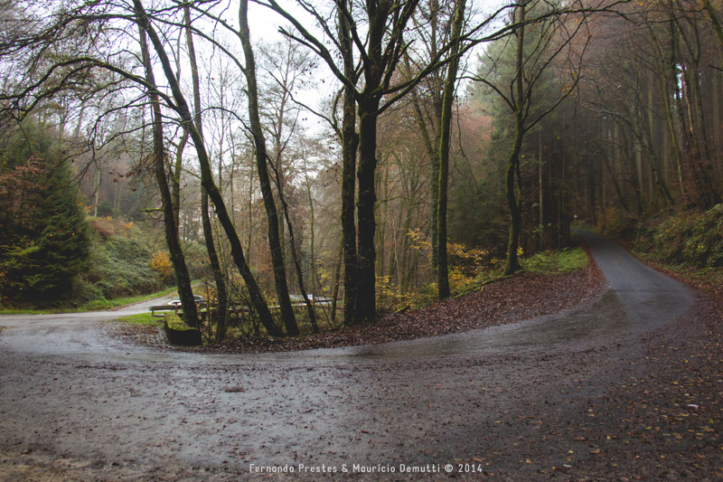 mullerthal trail Luxemburgo