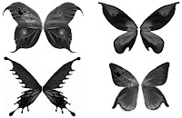 butterfly brushes photoshop download