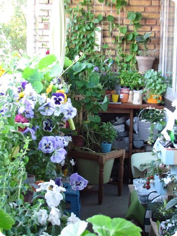 Image00382