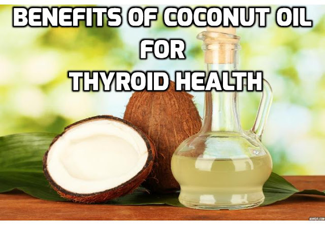 Most of the benefits that coconut oil provides for thyroid health, have more to do with its ability to help regulate and correct your physiology to prevent other external influences from suppressing your thyroid. Read on here to learn a few examples of how coconut oil directly or indirectly improves thyroid health and function.