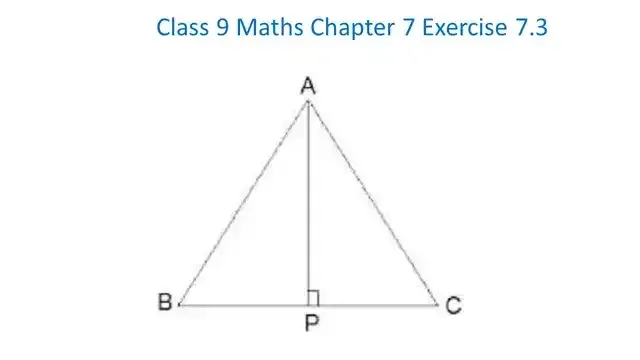Class 9 Maths Chapter 7 Exercise 7.3 Question 5