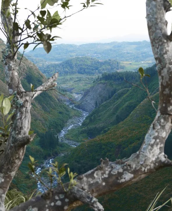 pesona bukit waru doyong brebes mirip the valley at stalhiem Norwegia - foto instagram jalalludinj