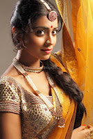 Shriya, saran, navel, pics, in, saree