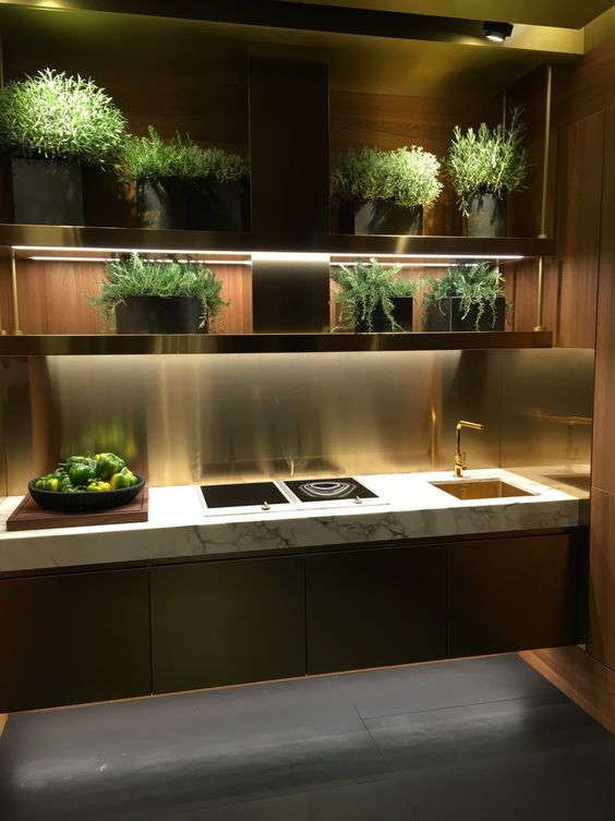HORTA NA COZINHA