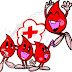 Manfaat Donor Darah bagi Tubuh
