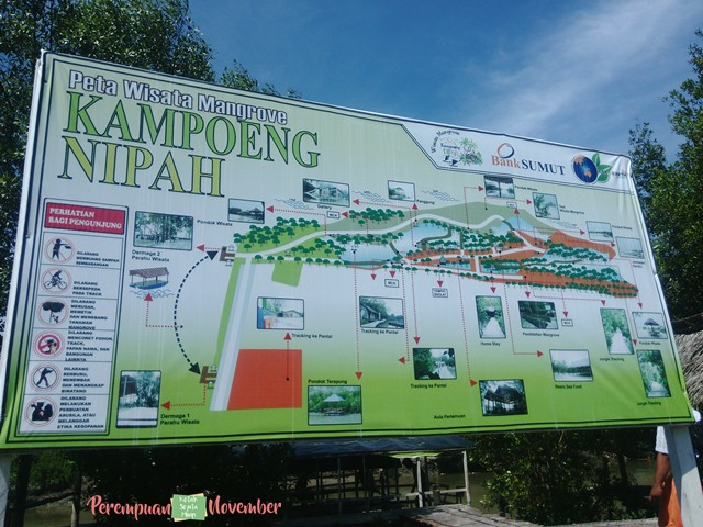 mangrove kampoeng nipah