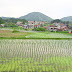 [新しいコレクション] 田んぼ 浮草 315404-田んぼ 浮き草 除草