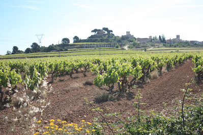 BANYERES DEL PENEDÈS CASTELL DE BANYERES - ERMITA DE LA MARE DE DÉU DELS ARQUETS - LLEGER - ERMITA SANT PONÇ; el poble de Banyeres del Penedès des del Camí d'en Beina