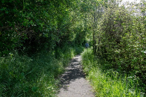 Two Trails_132