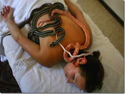 Snake Massage Parlour 