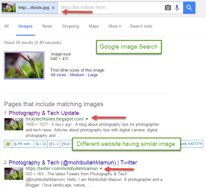 Google Image Search tips and tricks