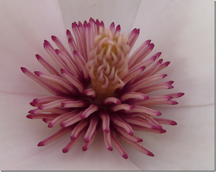 P1070417