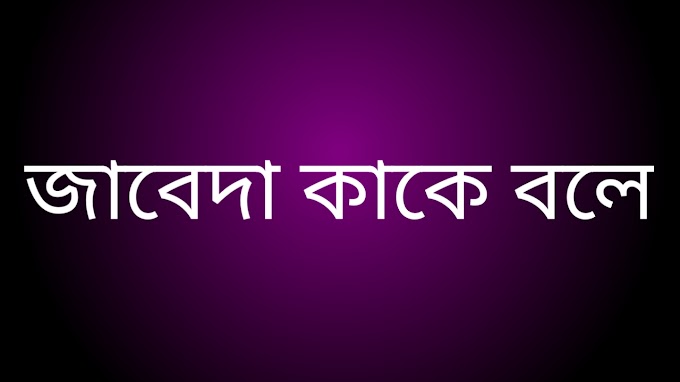 জাবেদা কাকে বলে? জাবেদা কত প্রকার ও কি কি - সাহিত্য মহল