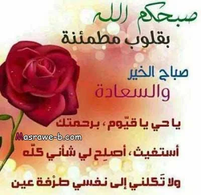 ما هو تعريف الورد؟