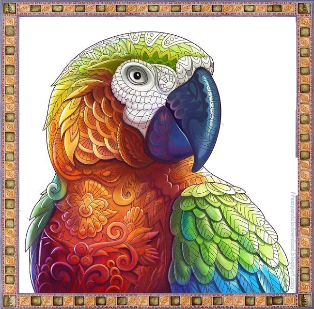 Papagei Mandala ausmalbilder zum ausdrucken-Parrot mandala ...