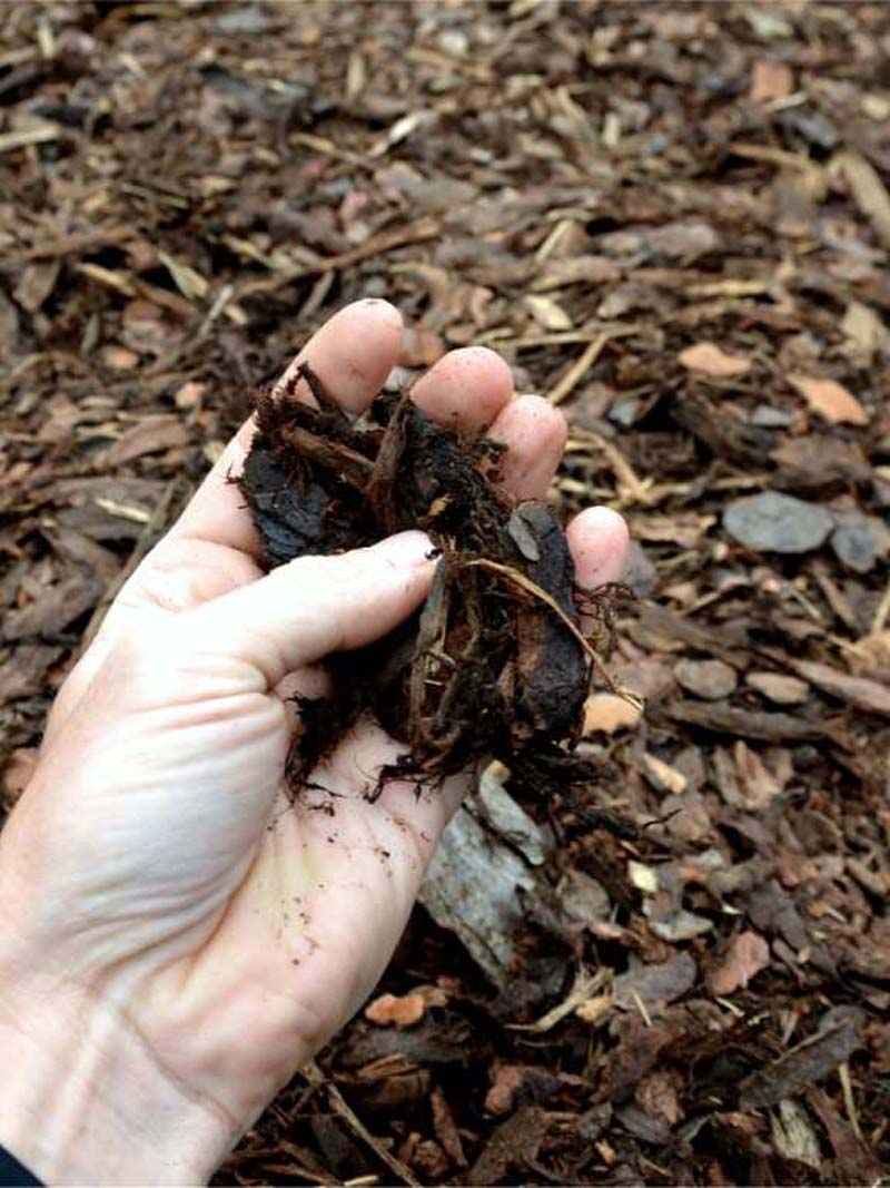 10 Ways to Protect Your Soil in Winter
