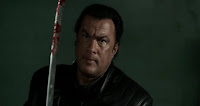 Steven Seagal is Tao, Alin Olteanu is his voice