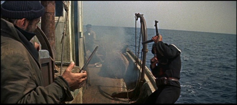  penned for the screen by MacLean himself The Guns of Navarone depicts 
