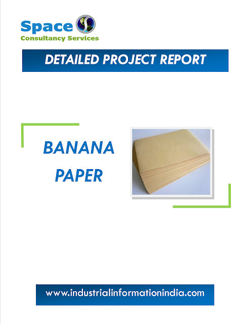 Banana Paper Manufacturing Project Report