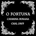 Carl Orff - O Fortuna  (Carmina Burana )