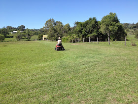 mowing