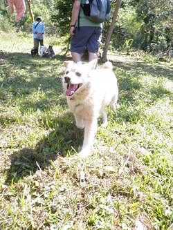 Trekking 6 (23)