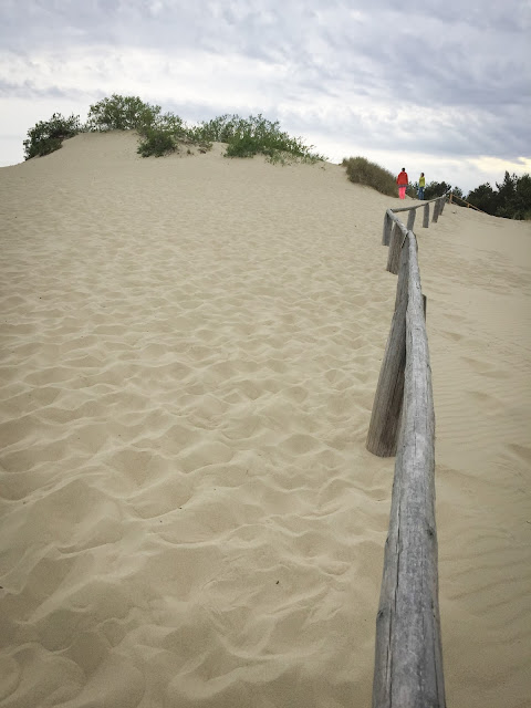 The sand dunes in Nida, Lithuania