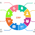 Enterprise Resource Planning (ERP)