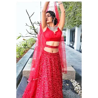 Actress Payal Rajput New Glam Photoshoot Pics