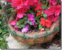 IMG_0547 IMG_0547