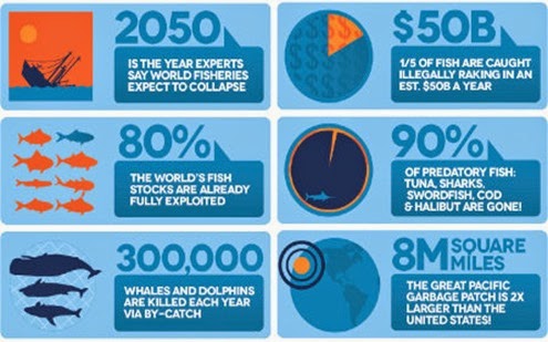 full_1343788023terramarproject_ocean-threats_infographic