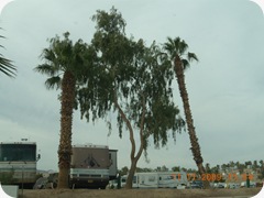 DSCN1473