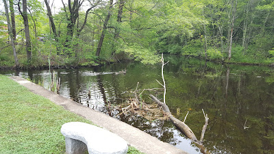 Sculpture Park on Panther Way in Franklin