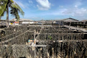 Kampung Tangguh Amat Belanda di Belakangpadang Diresmikan