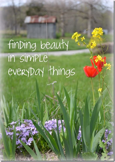 finding beauty