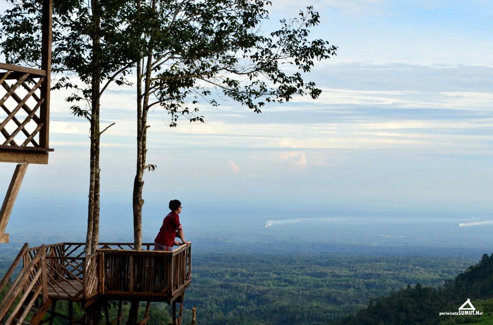 Pengalaman Liburan Ke Rumah Pohon Habitat Yang Mendebarkan