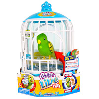 Birds Pet Shop