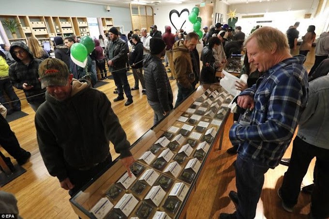Sale Of Marijuana Legalise In California - Hundreds Queue Up To Buy At Store(photos) 