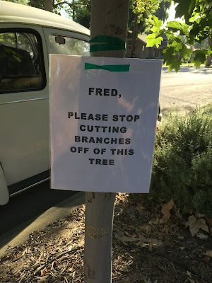 Slender tree trunk with sign "Fred, Please stop cutting branches off of this tree"