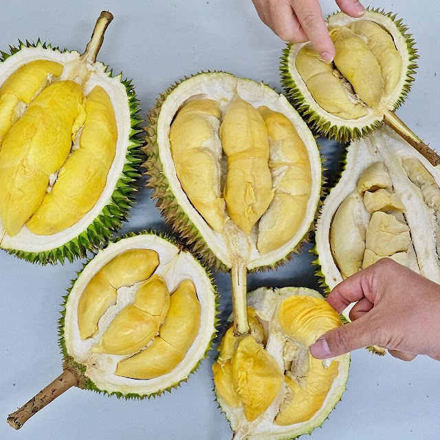 sau rieng musang king