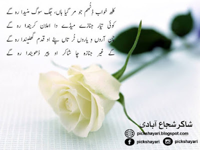 Shakir Shuja Abadi Poetry