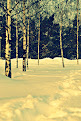 The Path