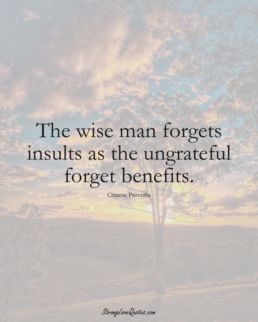 The wise man forgets insults as the ungrateful forget benefits. (Chinese Sayings);  #AsianSayings